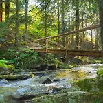 Apartamento Osada Poli Zawoja - Panoramiczny Z Prywatna Balia I Hydromasazem *